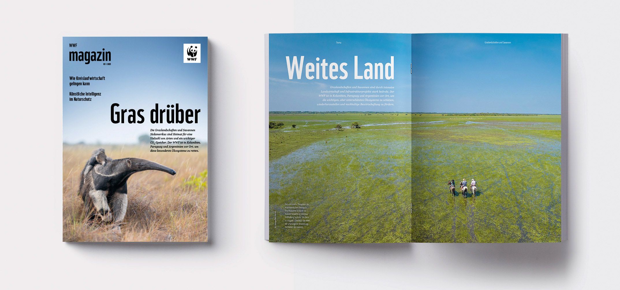 WWF Magazin mit Wal im Ozean und Elefanten in Landschaft zur Darstellung von Biodiversität und Artensterben im Editorial Desi