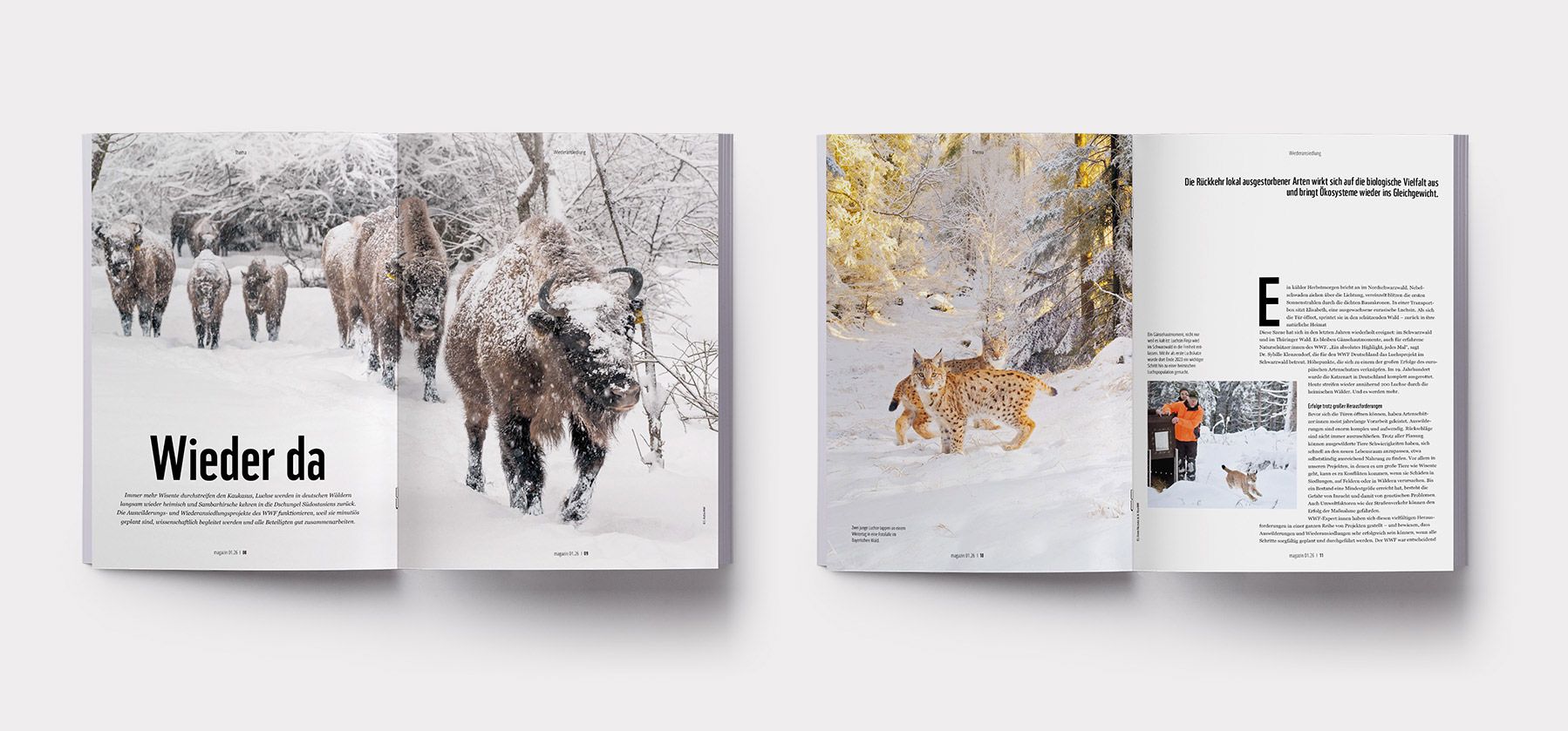 WWF Magazin mit Luftaufnahme von überfülltem Strand, Küstenlandschaft und Meer zur Darstellung von Umweltbelastung