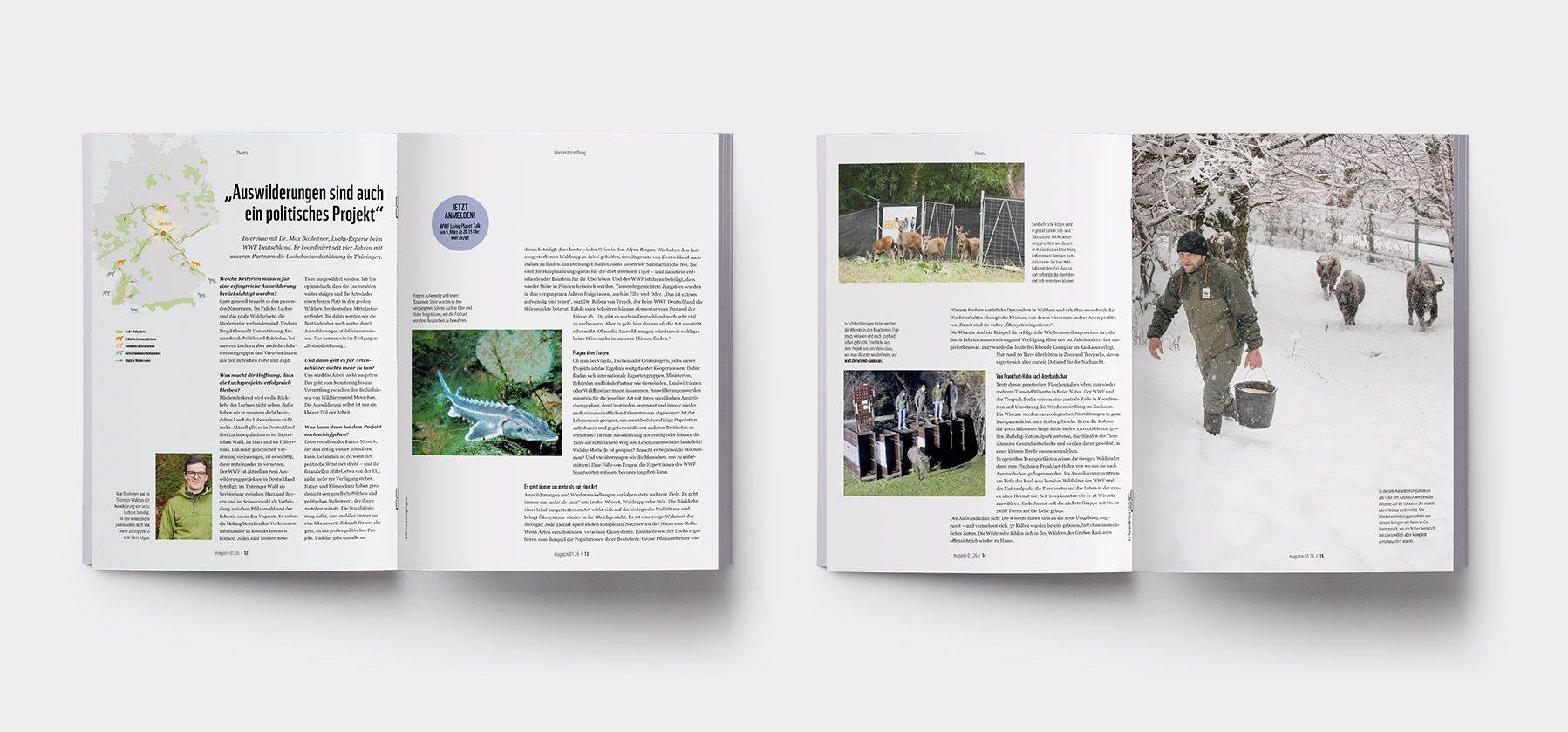 WWF Magazin mit Naturfotografie von Küstenlandschaft, Vögeln und Unterwasserwelt der Ostsee im Editorial Design