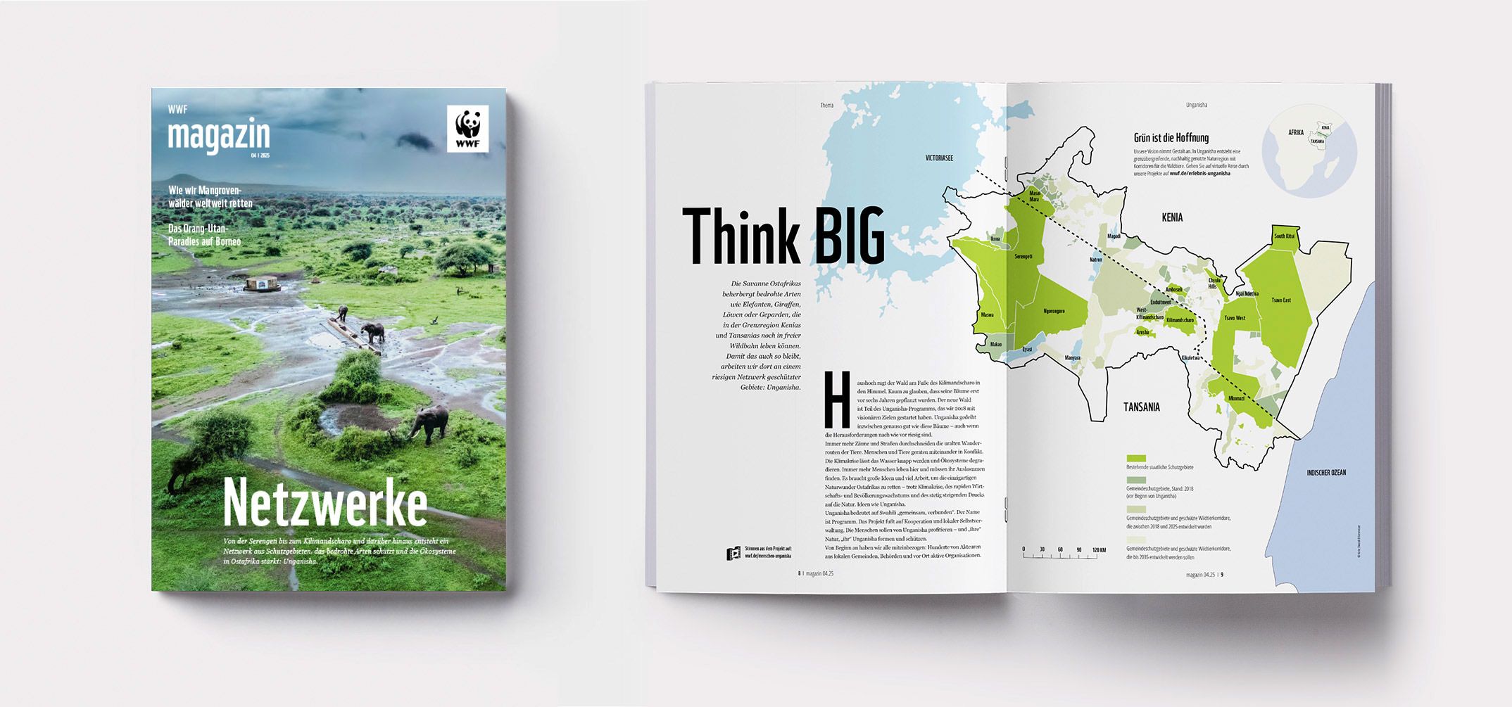WWF Magazin mit Wal im Ozean und Elefanten in Landschaft zur Darstellung von Biodiversität und Artensterben im Editorial Desi