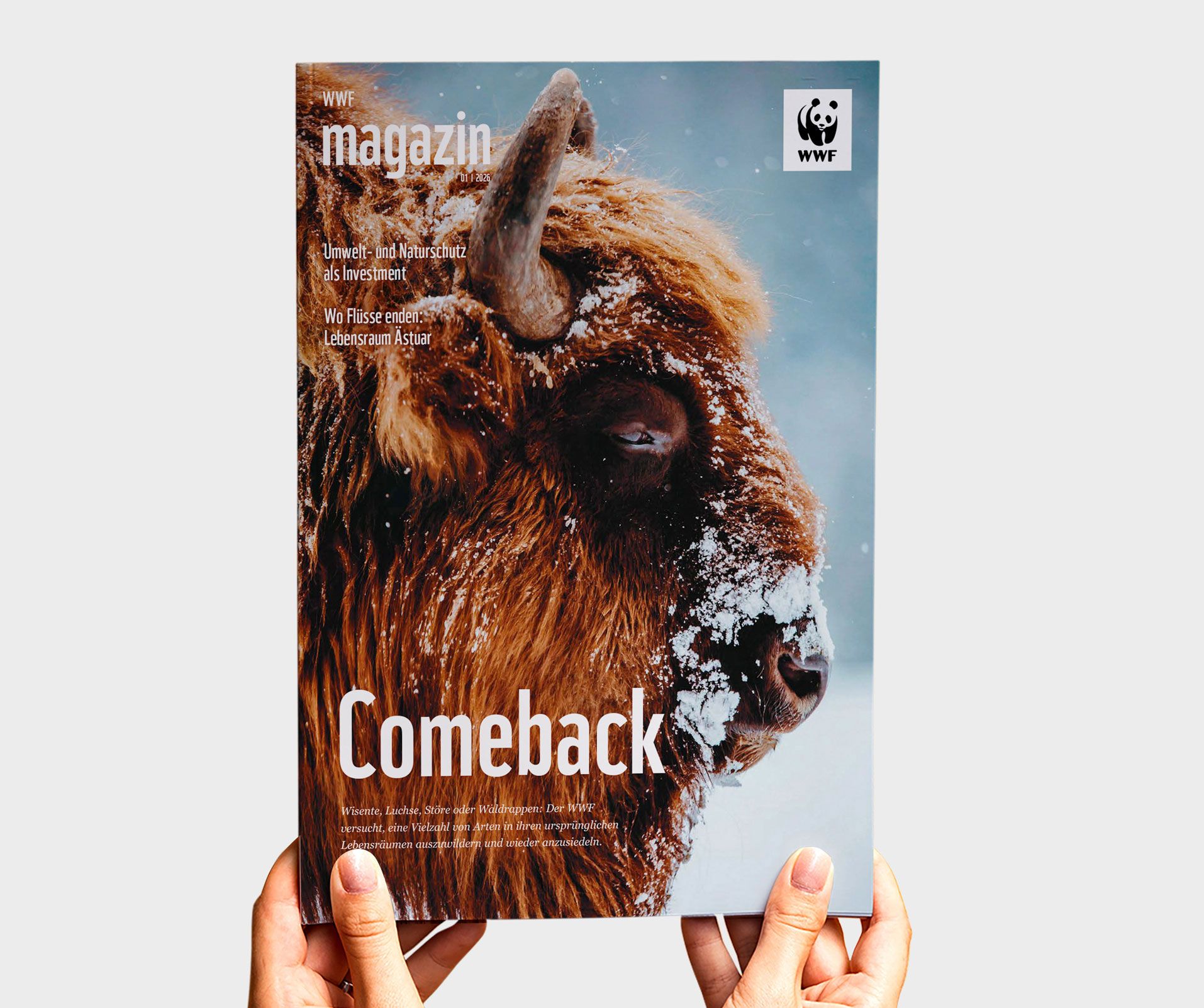 WWF Magazin mit Luftaufnahme von überfülltem Strand, Küstenlandschaft und Meer zur Darstellung von Umweltbelastung