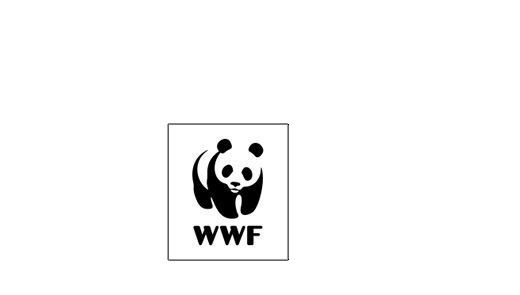 WWF_SZ_Scala_Logo Weißes WWF Logo mit Symbol und Schriftzug auf schwarzem Hintergrund